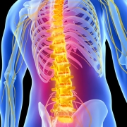 Spinal Cord Injury
